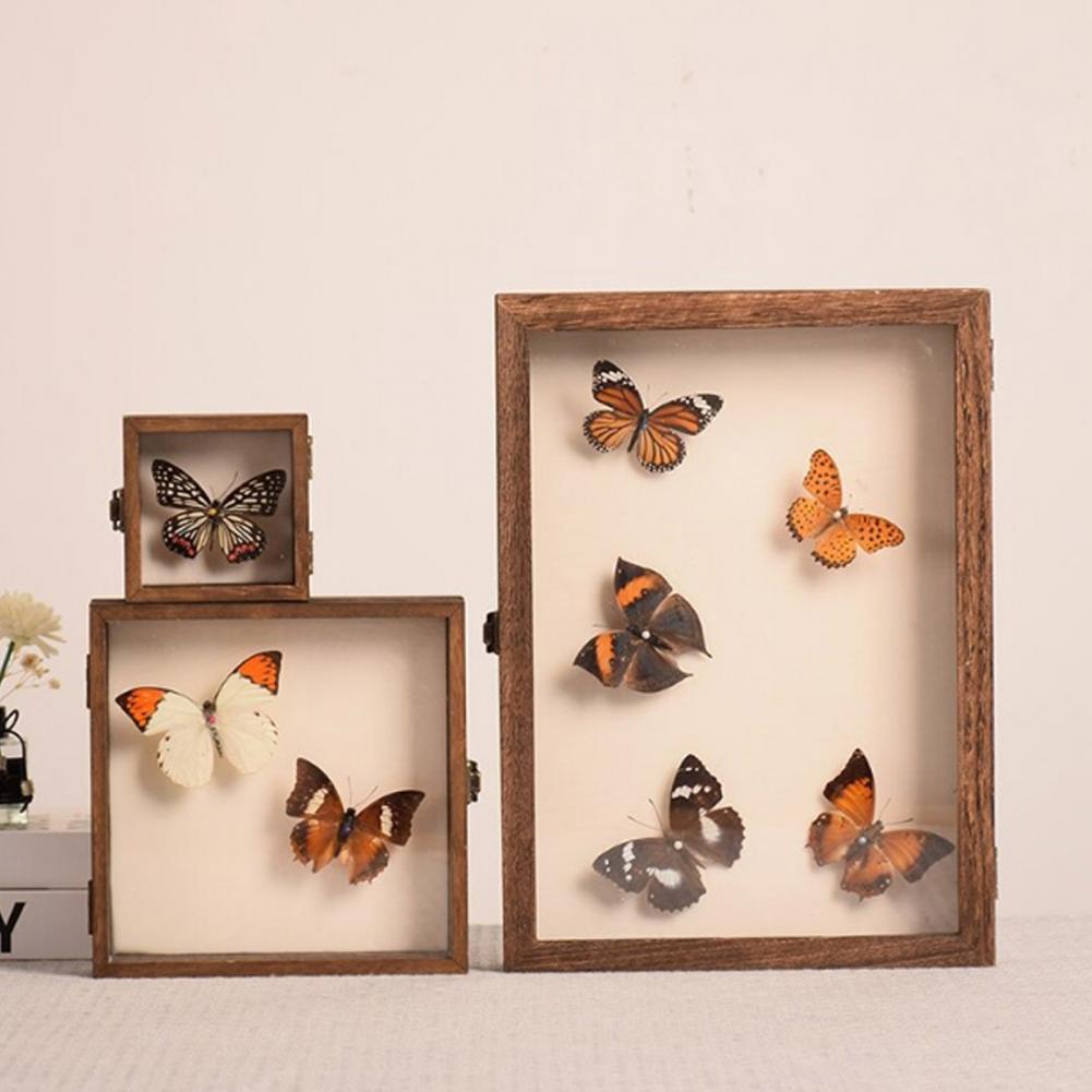 Insect Hotel Wood - Vitrina de madera, caja de sombra