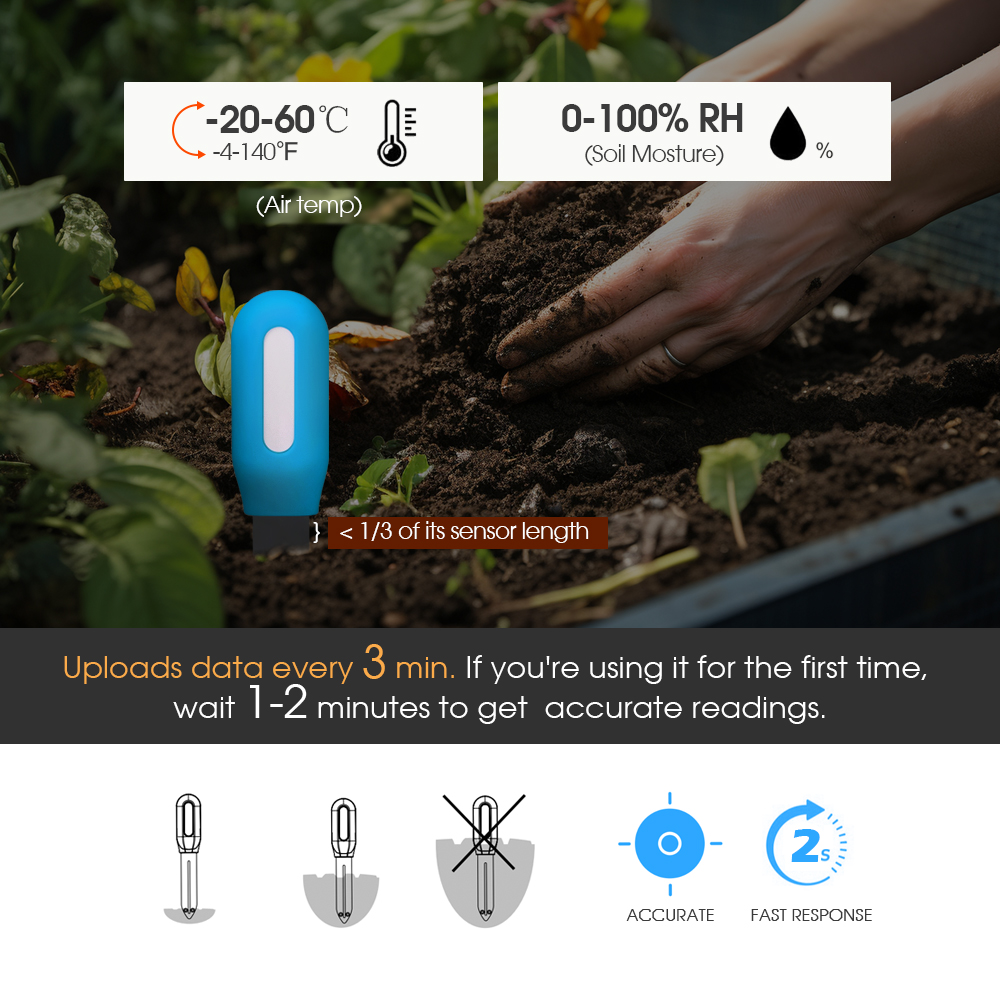 Sensor inteligente de suelo Zi - Smart Garden Monitor reseña y precio