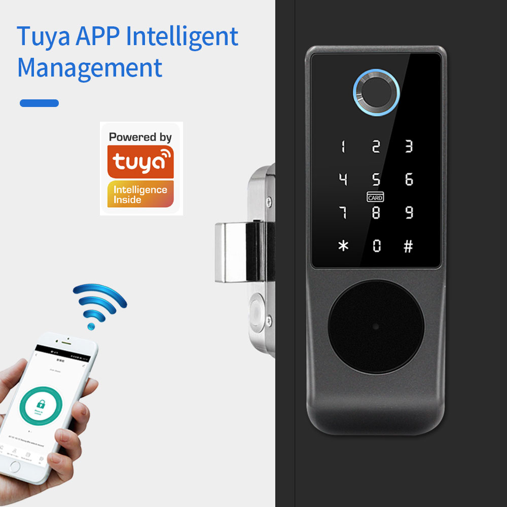 TUYA-cerradura de puerta intel - Smart Garden Gate Lock reseña y precio