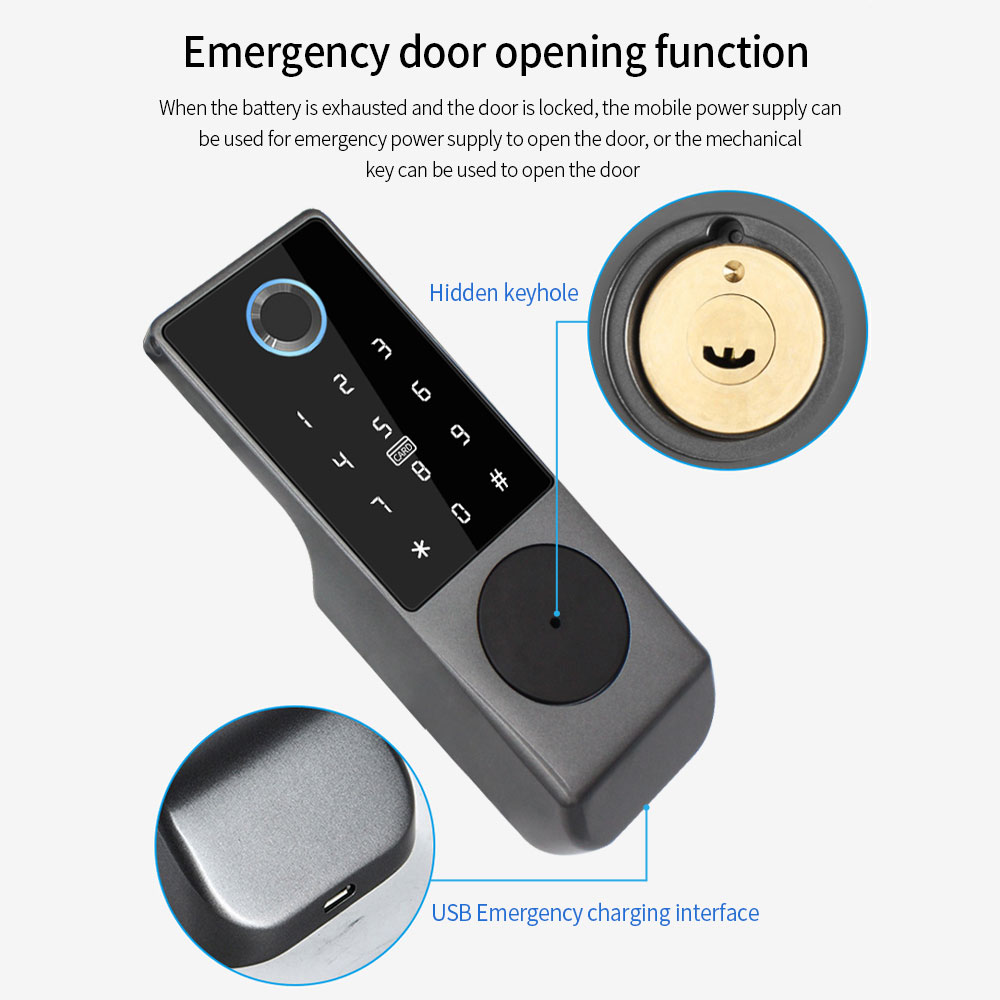 TUYA-cerradura de puerta intel - Smart Garden Gate Lock reseña y precio