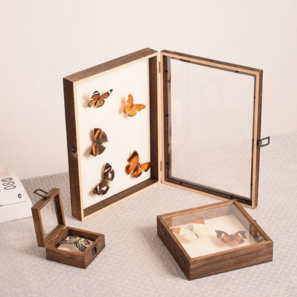 Vitrina de madera, caja de som - Insect Hotel Wood reseña y precio