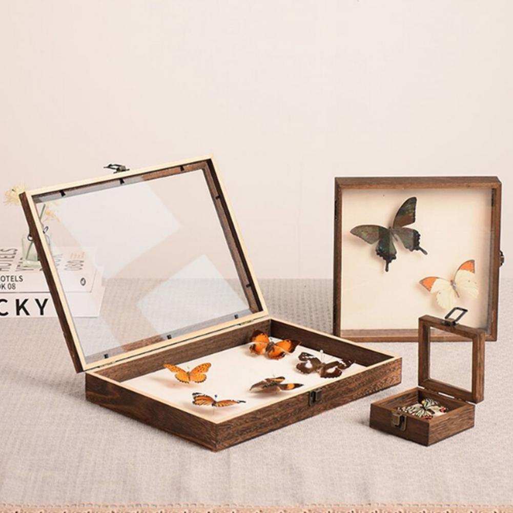 Vitrina de madera, caja de som - Insect Hotel Wood reseña y precio