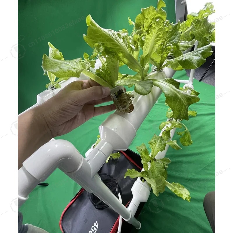 Sistema Hidropónico NFT Channe - Smart Garden Hanging Baskets reseña y precio