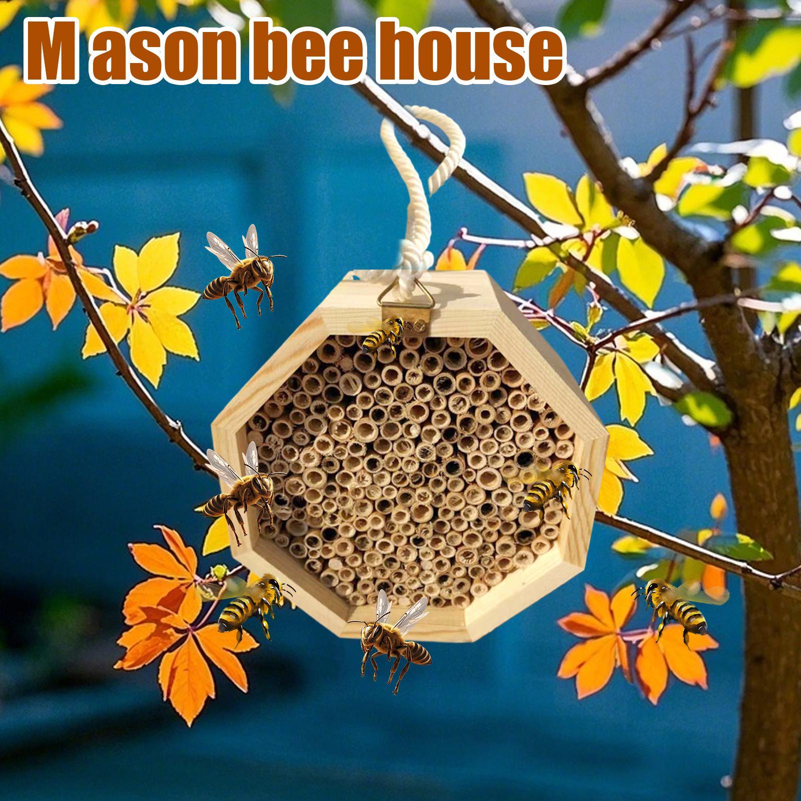 Casa de madera para insectos,  - Insect Hotel Wood reseña y precio