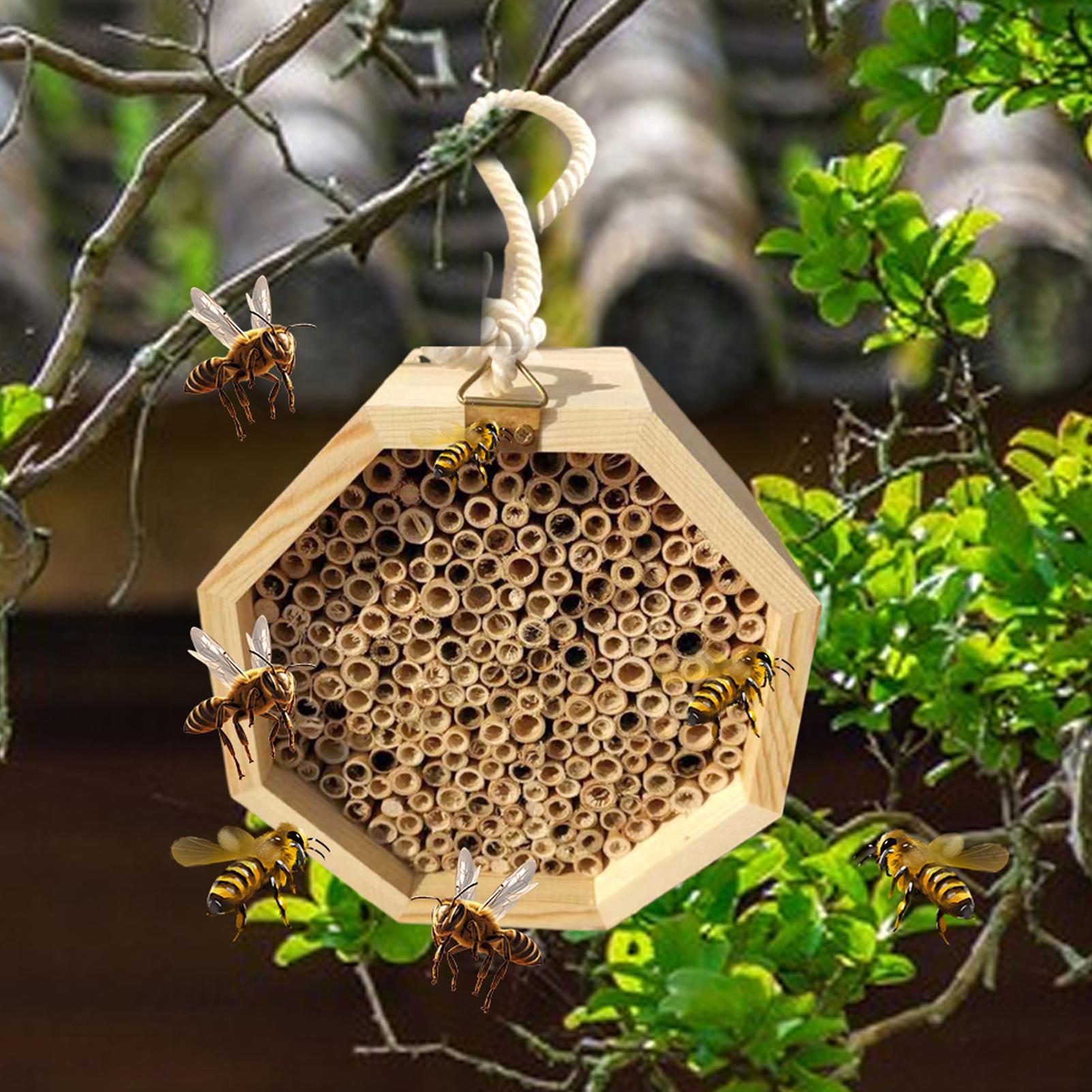Casa de madera para insectos,  - Insect Hotel Wood reseña y precio