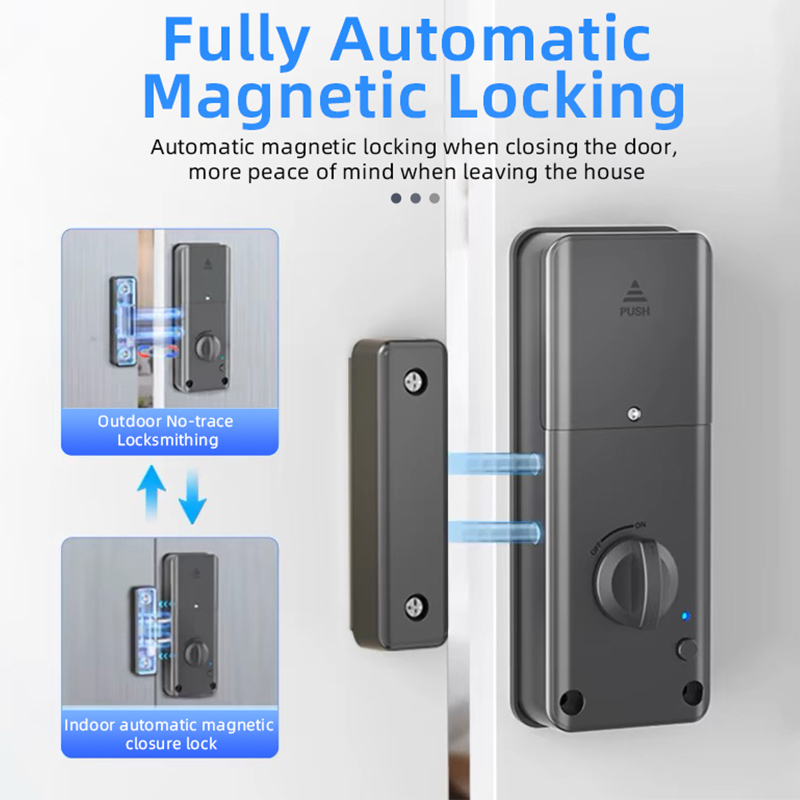 Cerradura Inteligente para Pue - Smart Garden Gate Lock reseña y precio